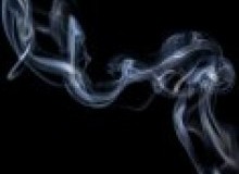 Kwikfynd Drain Smoke Testing
kooringalqld